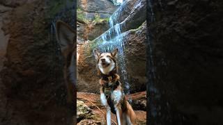 Gaspésie Waterfall Wonder 🌊  Holly’s Journey on Chemin de la Grotte in Percé [upl. by Aitnohs863]