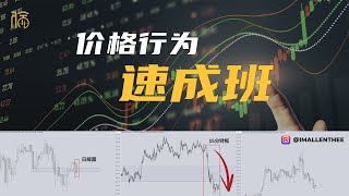 價格行為 Price Action Trading 完整版教學 [upl. by Dorran279]