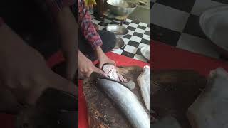 Amazing Wallago Fish Cutting Skills In Fish Market [upl. by Berliner]