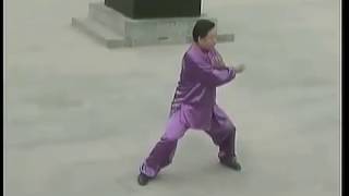 Chen style Tai Chi 19 form tutorial Chen Xiaowang [upl. by Horst591]