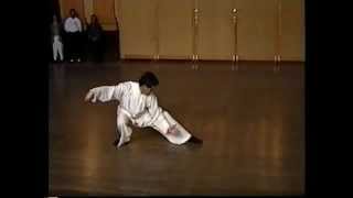 Master Kai Ying Tung performing Tai Chi Chuan traditionel ya [upl. by Yaral]