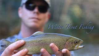 Winter Chattooga River Trout Fishing [upl. by Aizirk]