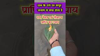 पान के पत्ते पर कपूर क्यों जलाया जाता है  Pan ke patte ka upay  Anmol Gyan Ki Baaten shorts​ [upl. by Sparhawk]