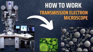 Transmission Electron Microscope TEM  How do Electron Microscopes Work [upl. by Toinette]