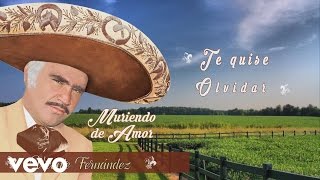 Vicente Fernández  Quisiera Saber Te Quise Olvidar Cover Audio [upl. by Korff]