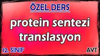 5 Protein Sentezi  Translasyon  Özel Ders 12 Sınıf [upl. by Acinoed164]