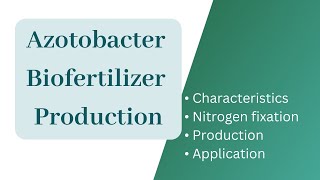 Azotobacter biofertilizer productionAzotobacter Nitrogen fixationApplication of Azotobacter [upl. by Yerroc]