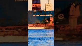 BULBOUS BOW WAVE HAMMONIA BALTICA on the ROCKSship wow epic waves containership oiltanker [upl. by Chris]