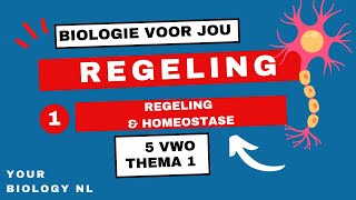 5 vwo  Regeling  1  Regeling amp Homeostase [upl. by Bedwell]