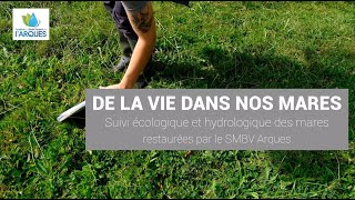 De la vie dans nos mares  suivi hydrologique et écologique des mares reportage [upl. by Anastasie]