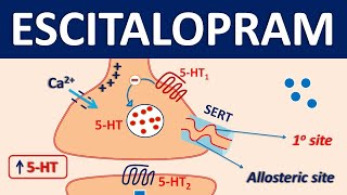 Escitalopram Lexapro  Mechanism precautions side effects amp uses [upl. by Levitan289]