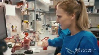 What does a microbiologist do  University of Tasmania [upl. by Aenneea]