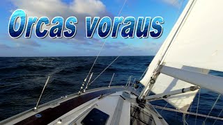 Segeln  Orcas voraus⛵❄️ 109 [upl. by Leibman646]