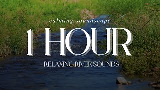 River Soundscapes for Deep Sleep amp Relaxation  1 Hour of Ambient Nature Sounds [upl. by Wilonah809]