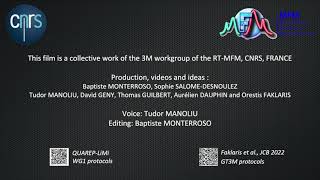 RTMFM GT3M  Light sources characterisation [upl. by Lleksah]