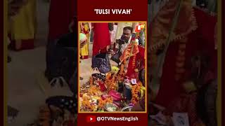 Devotees Perform Tulsi Vivah At Balua Ghat In Prayagraj On The Occasion Of Dev Uthani Ekadashi [upl. by Hawkie778]