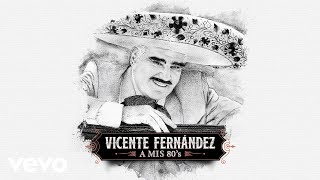 Vicente Fernández  La Misma LetraLyrics [upl. by Anemaj]