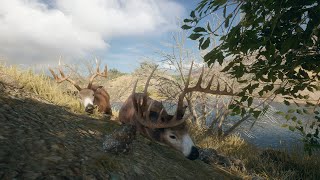 Rancho Del Arroyo GO Grind Pt 6 Iron Sights At 320 Yards On A Diamond [upl. by Ayhay]