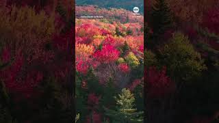 Vivid fall foliage on display in New Hampshire [upl. by Ofori]