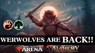 NEW Werewolves in Alchemy  MTG Arena Alchemy  Ranked Diamond [upl. by Aisayn]