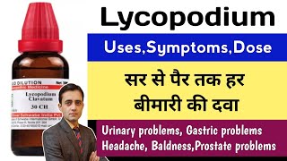 Lycopodium homeopathic medicine  Lycopodium clavatum 30 ch uses in hindi  Lycopodium 200 [upl. by Ester]