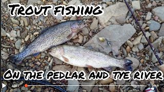 Virginia Trout Fishing  Pedlar River and The Tye River in the Blueridge Mountains [upl. by Anayeek]