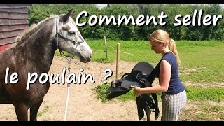 Comment seller le poulain   Débourrage de Clémence partie 6 [upl. by Luapleahcim]