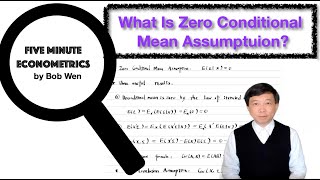 What Is Zero Conditional Mean Assumption  【Five Minute Econometrics】Topic 8 [upl. by Aicela505]