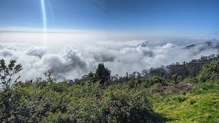 Coakers Walk  Places to visit in Kodaikanal  Kodaikanal after Lockdown [upl. by Alekram]