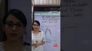 Action Potential of Neurons  Electrical Excitability of Neurons  Function of neuron shortvideo [upl. by Kassab]