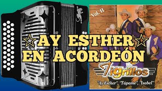 Tutorial Ay Esther Los Tigrillos Acordeón de SOL 🎵 [upl. by Idahs]