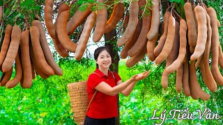 How to harvest Tamarind amp Goes to the Market sell  Harvesting and Cooking  Daily Life [upl. by Ku571]