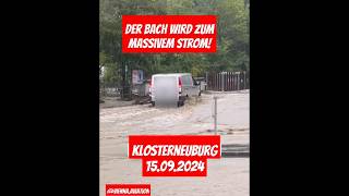 Bach wird zum Massivem Strom Extremes Hochwasser in Klosterneuburg flood viralvideo hochwasser [upl. by Maddy]