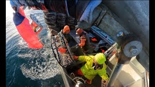 2024 Dungeness Crab Fishing Catching Crabs on Night Fighter Final Trip Insta360 X4 [upl. by Freya703]