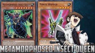 YuGiOh Duel Links  Metamorphosed Insect Queen Beatdown [upl. by Tim]