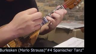 【Mandolin】Burlesken Marlo Strauss “4 Spanischer Tanz” [upl. by Davena]