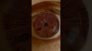 Ultra Realistic Mangekyou Sharingan in REAL LIFE Uchiha Shisui  Naruto VFX [upl. by Mcnamara]