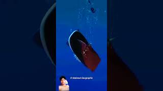 amazingfacts viral facts knowledge interestingfacts titanic water shorts ytshorts [upl. by Marilou375]