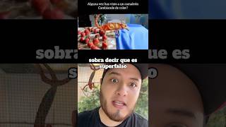 Video FAKE de un CAMALEÓN 🙄🦎 camaleón chameleon camaleones reptiles animales [upl. by Conchita]