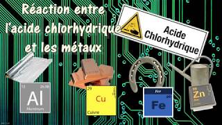 📣1 Les Lipides Partie1 Les Acides Gras explication en détail  des exemplesاقوى مراجعة لللبيدات [upl. by Annoyek]