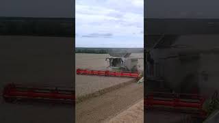 Claas Lexion 8700 Wheat Harvesting Powerhouse [upl. by Nalepka58]