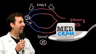 Shunting Explained Clearly Pulmonary Shunt [upl. by Dibbell]