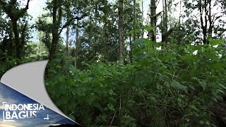 Indonesia Bagus  Gunung Tambora Kabupaten Dompu NTB [upl. by Lotsirb304]