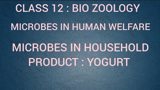 Microbes in Household product  Yogurt  Microbes in human welfare  Class 12  Tamil [upl. by Elvie725]