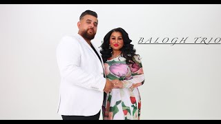 Balogh Trió  Gina Zeleno zeleno  Official ZGStudio video [upl. by Myrvyn516]