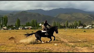 Horseback Archery Tengribowscom [upl. by Lane]