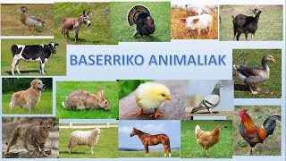 Baserriko animaliak [upl. by Albion]