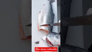 tuna fish cutting [upl. by Pancho]