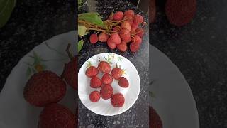 Litchi fruit Litchi litchifruit litchi shorts viral trending 1m youtubeshorts youtube [upl. by Bord516]