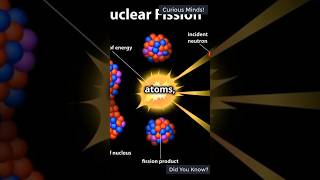 How Atom Bomb Works Shorts [upl. by Sebastiano]